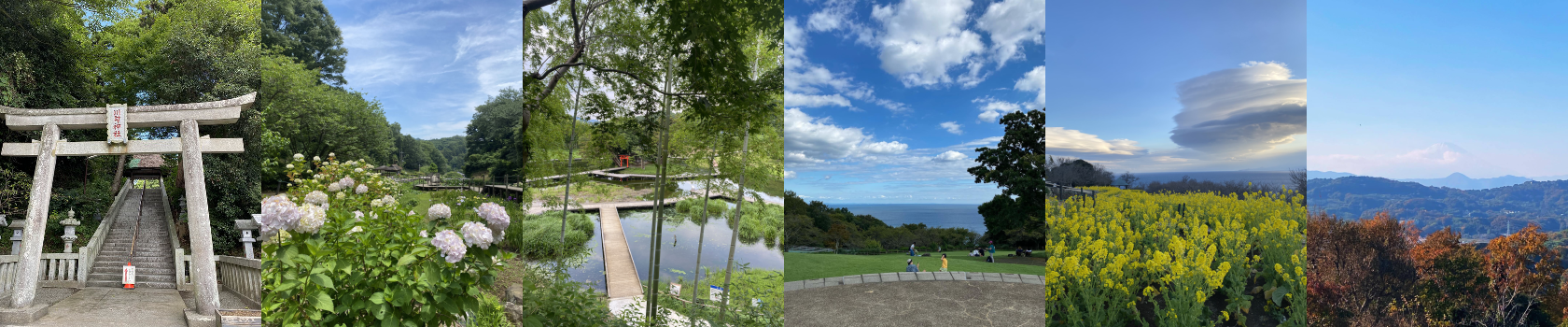 ワイン販売・通販　織田商店