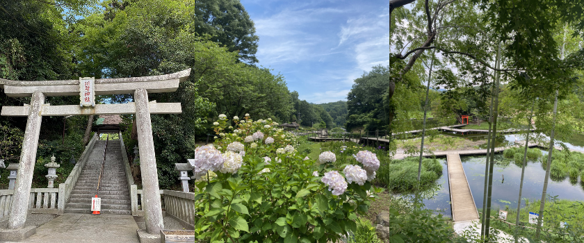 ワイン販売・通販　織田商店