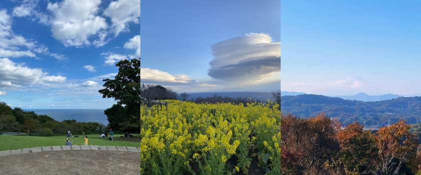 ワイン販売・通販　織田商店